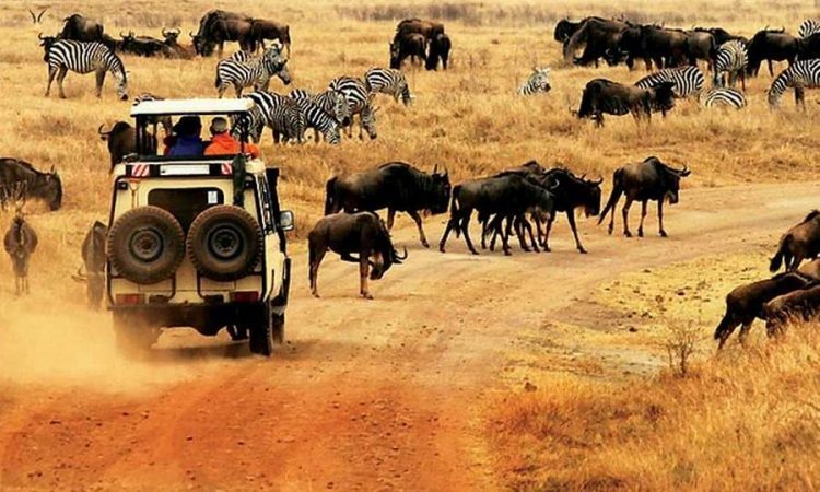 8-Days-Kenya-Wildlife-Experience-750×450-1