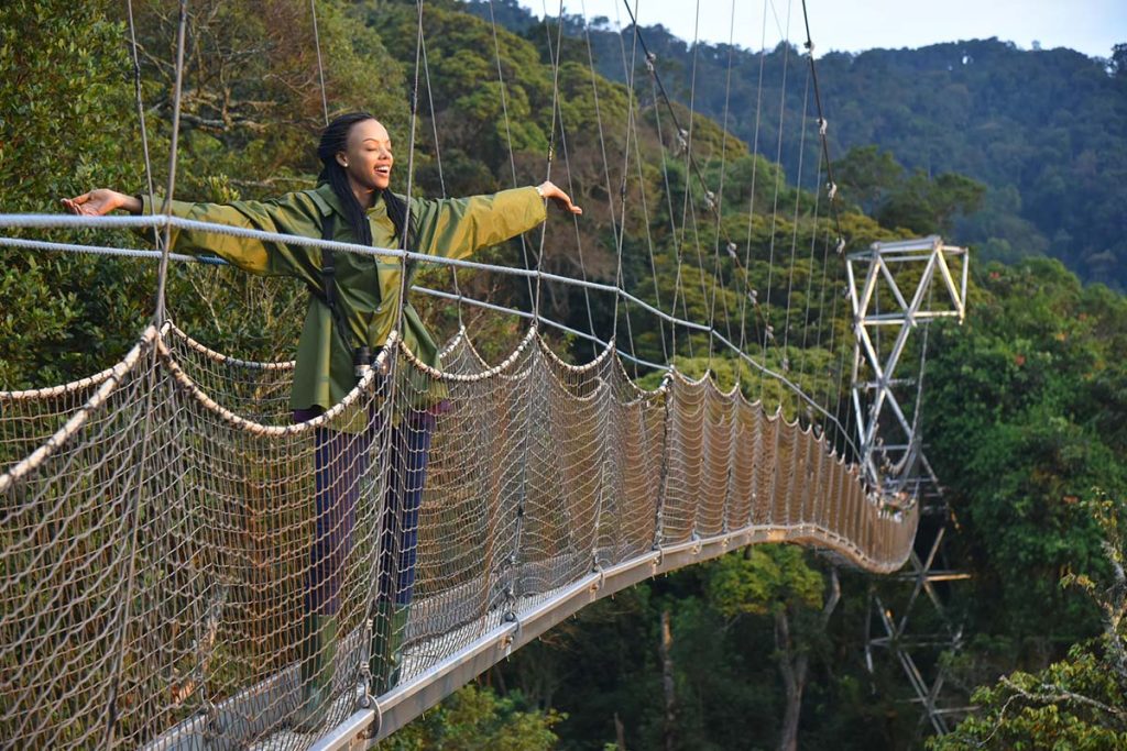 Canopy-walk-in-Nyunghwe.jpg