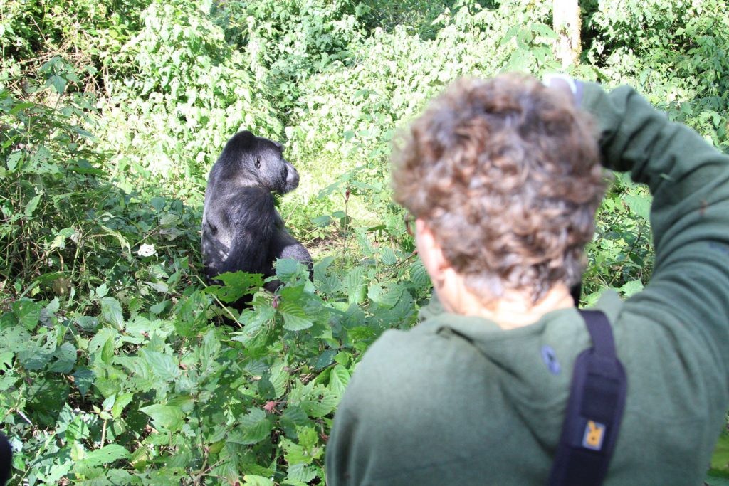 Chimps-and-Gorilla-Habituation-01-1024×683