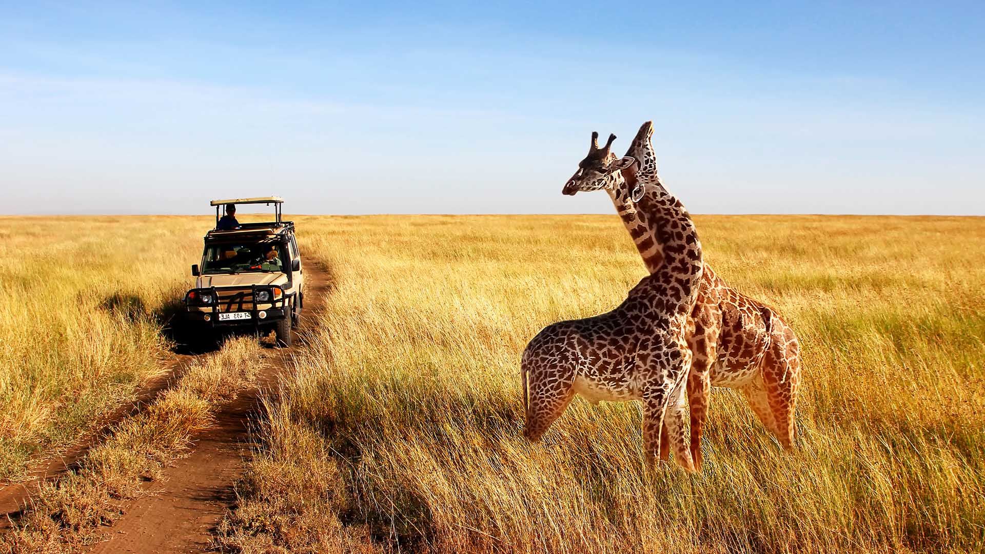 10 Days Tanzania and Zanzibar Safari