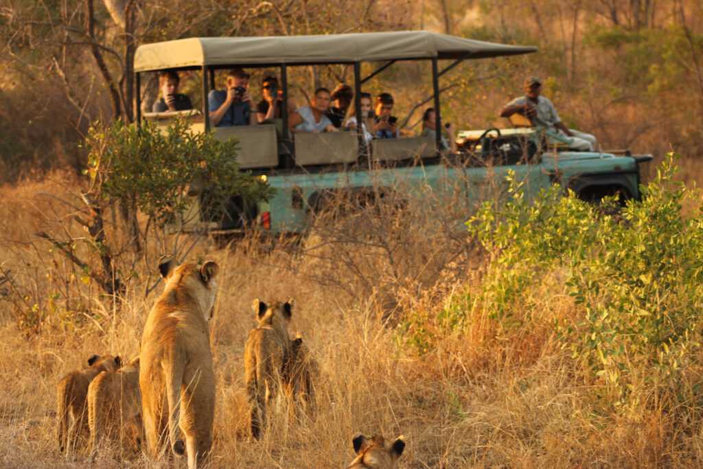 Queen Elizabeth National Park - Game drives