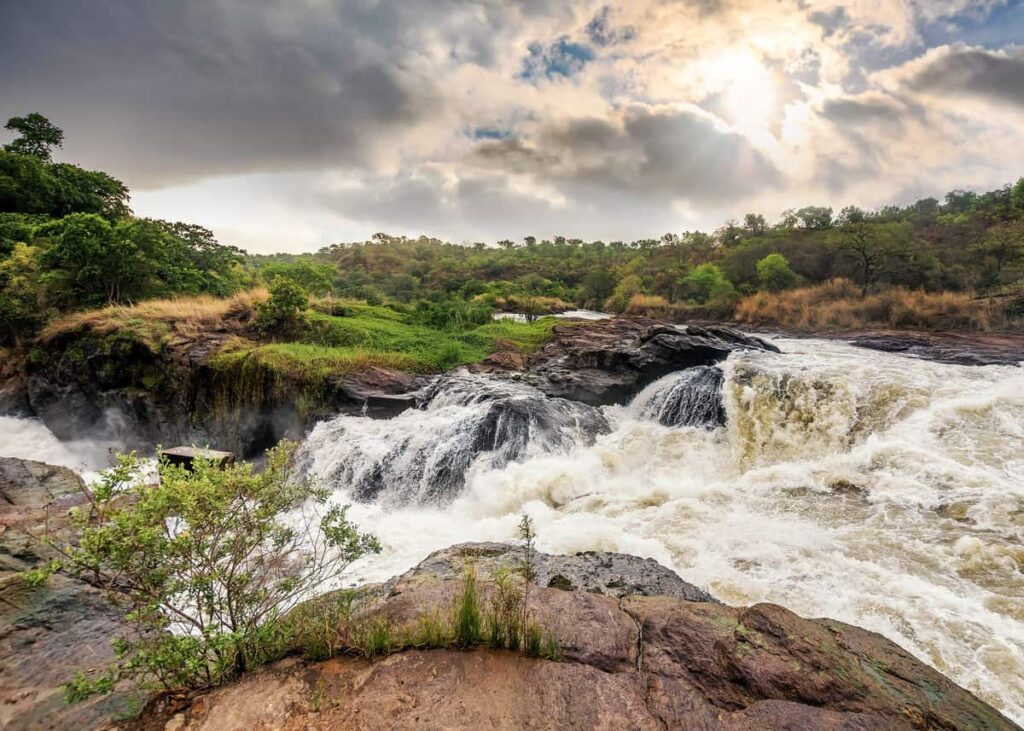 Murchison falls national Park