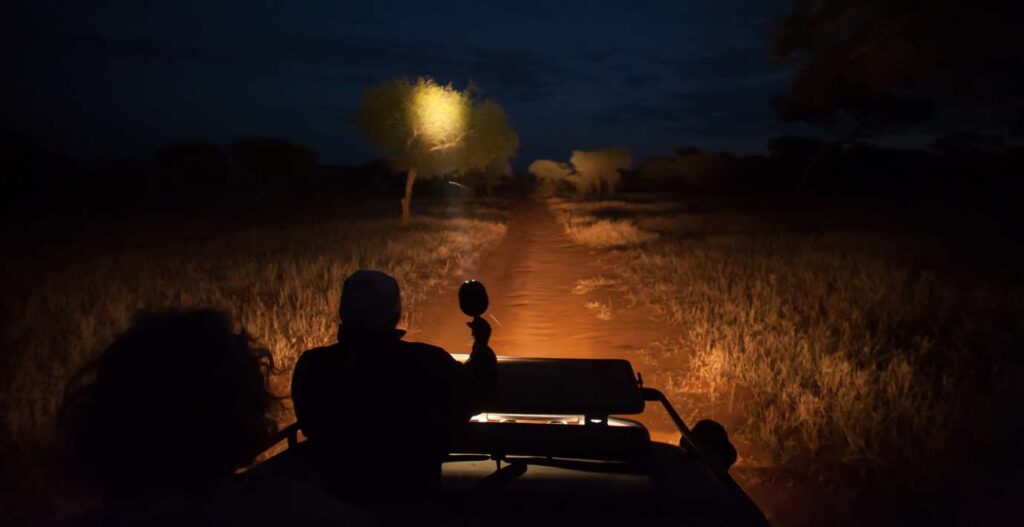 Murchison Falls National Park - Night Game drives