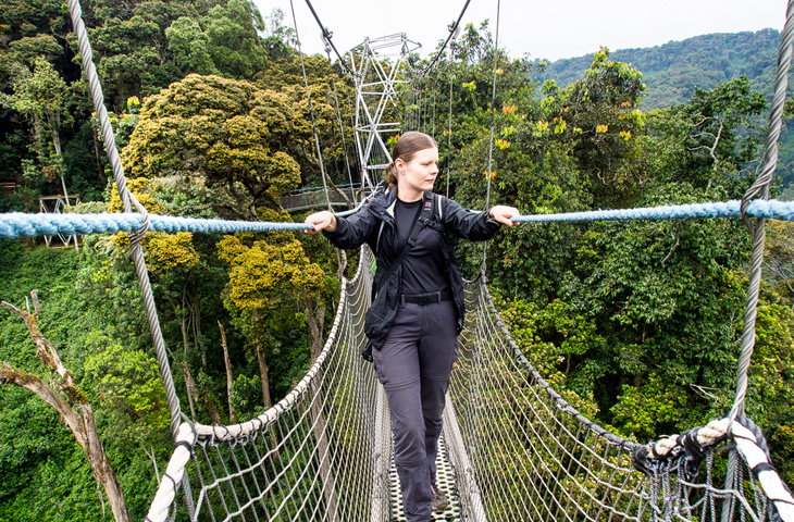 Nyungwe Forest National Park - Canopy walk