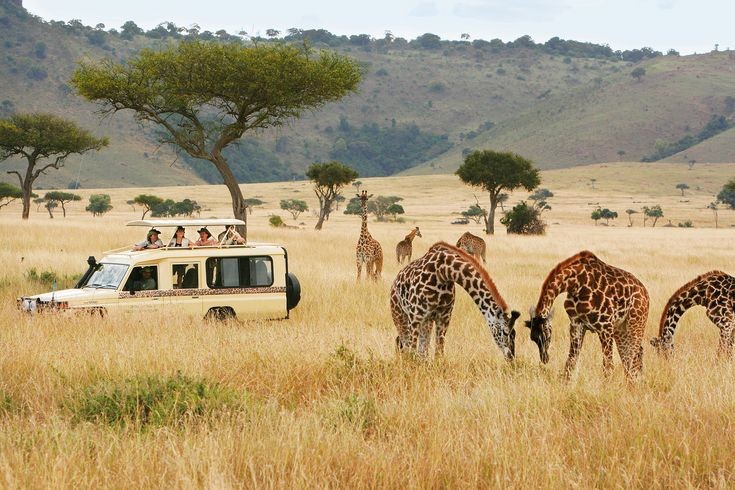 7 Days Kenya safaris