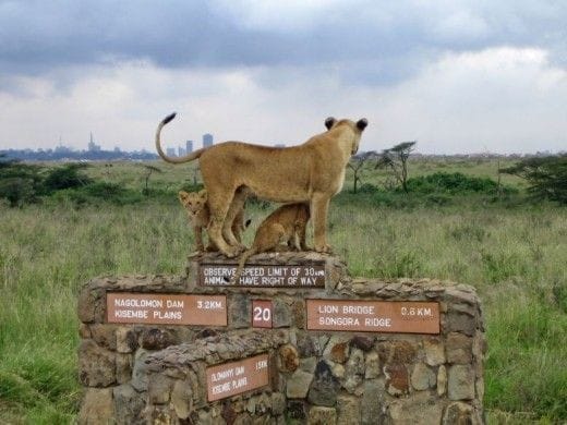 Masai Mara